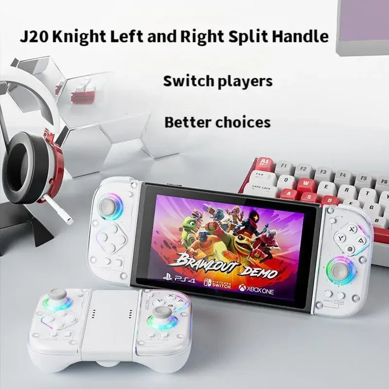 J20 Left and Right Hall Joystick Split Controller for Switch