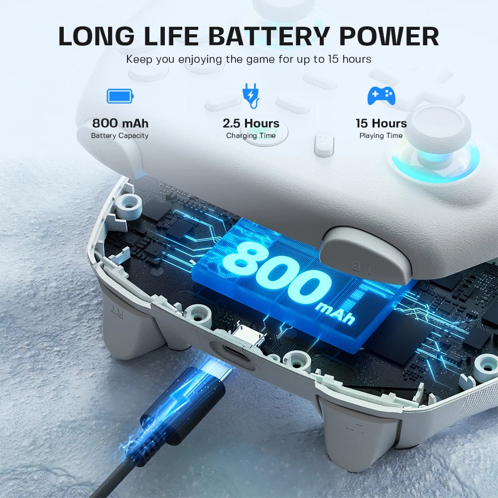 ECHTPower Wired Controller with Hall Effect Joysticks for Switch