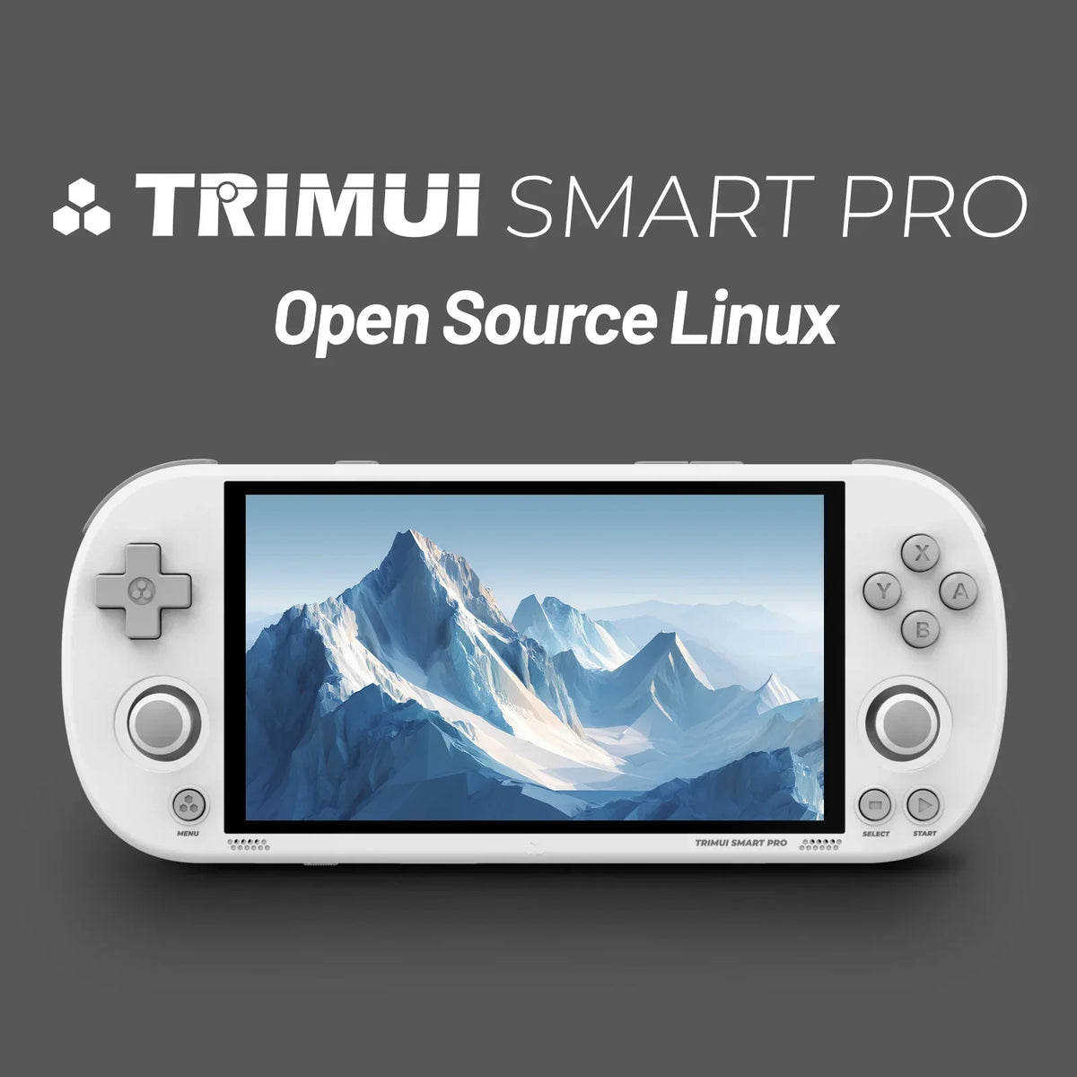 Trimui Smart Pro 4.95-Inch IPS Handheld Console, 13K Games